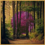 Julia Thomsen, Marie and Hollie Kenniff Transport Listeners with Their New Single “The Distance That Held Us”