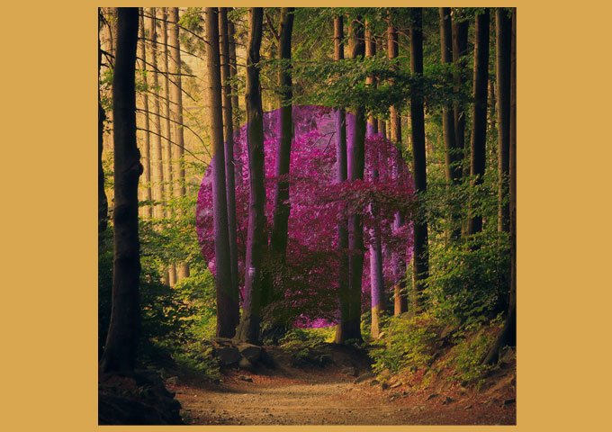 Julia Thomsen, Marie and Hollie Kenniff Transport Listeners with Their New Single “The Distance That Held Us”